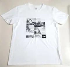 海外限定】ノースフェイス 半袖Tシャツ 日本4L相当 A637 - メルカリ