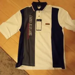 Item thumbnail for item 864e6787-10ba-47c5-8840-115fc9bd2624