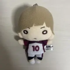 2025年最新】白布 にとたん ぬいぐるみの人気アイテム - メルカリ