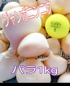 ジャンボニンニク生バラ 1kg L~3Lサイズ　　鮮度保持袋に入れて発送のサムネイル