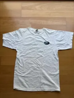 patagonia ホワイト Tシャツ