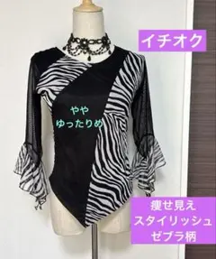 社交ダンスレッスンウェア　イチオク　モノトーンゼブラ柄、フリル袖