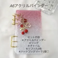 アクリルバインダー♡水流模様A6韓国バインダー貯金savingチェリーRed