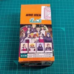 ウィンドブレーカー ぱしゃこれ BOXのサムネイル