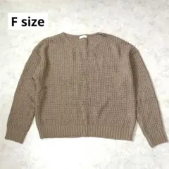 earthmusic&ecologyニット セーター Vネック ラメ薄ベージュF