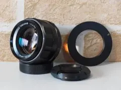 Item thumbnail for item 258b1523-8b0b-43b9-8d9f-51f6868249ab