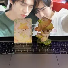 DIMOO Moments in Bloomシリーズのサムネイル