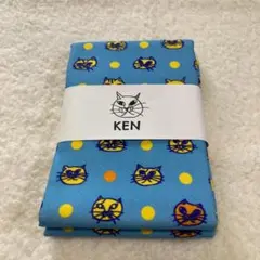 Item thumbnail for item 2d91a8f7-ff4e-48af-950a-389234df9fcf