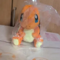 ヒトカゲ C賞 ポケモン 1番くじ 30th カントー ぬいぐるみ ぬい - メルカリ