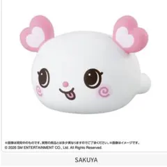【24時間以内発送可能】NCT WISH ぷくっとリング SAKUYA