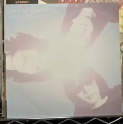 ゆらゆら帝国 アナログ レコード LP ゆらゆら帝国のしびれ 坂本