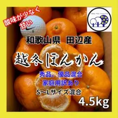 ②数量限定!和歌山県産、越冬ぽんかん、家庭用S～L混合4.5kg ポンカンみかん
