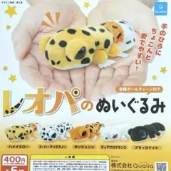 レオパのぬいぐるみ 全5種コンプリート