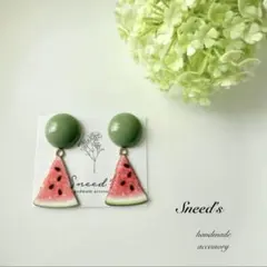 ▪すいかエポチャーム×くすみグリーンカボションピアス2点のみ