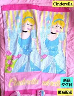 【訳あり】ディズニー　シンデレラ　プリンセス　フェイスタオル　タオル　2枚
