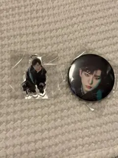 &TEAM ハルアカプセルトイ缶バッジ目印ポップアップ