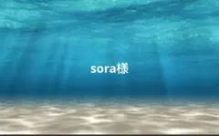 sora様