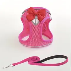 Item thumbnail for item 03833090-3dd4-48db-b4ce-42ba8cc0b2cd