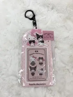 サンリオ　トレカケース　キティ　マイメロ　シナモン　クロミ