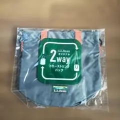 Item thumbnail for item e0ce7004-c391-4fa4-80e2-e304ee6234d3