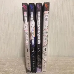 私の正しいお兄ちゃん　全4巻セット