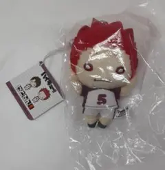 2025年最新】天童覚 にとたん ぬいぐるみの人気アイテム - メルカリ