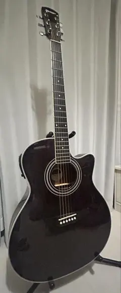morris　R-401 エレアコのサムネイル