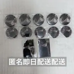 文豪ストレイドッグス 文スト c106 缶バッジ ブロマイド 纏めて 中原中也