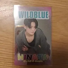 WILDBLUE 鈴陽向 トレカ風ステッカー