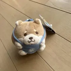 忠犬もちしば　まんまるオールスターマスコット