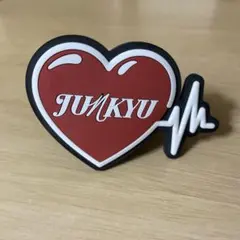 TREASURE JUNKYU ジュンギュ　ペンライトリング