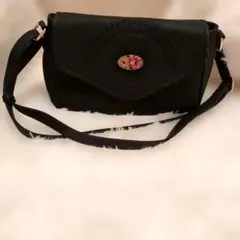 美品　Lake Alster　レイクアルスター　黒の刺繍ショルダーバッグのサムネイル