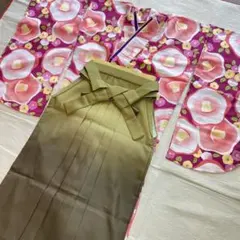 Item thumbnail for item 4a812173-abc4-4d0d-9c11-07e2604b97f2