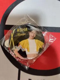 Softbank Hawks Honeys honeys 와카타카 가챠 KOHA