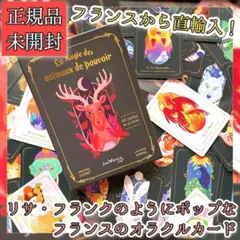 ✨フランス直輸入！✨タトゥーのようなアートワークのアニマルオラクルカード！