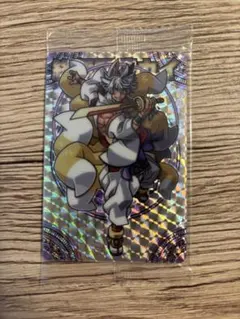 【未開封】神羅万象チョコ TCS 界顧録 神羅万象 サイガ 未開封】神羅万象チョコ TCS 界顧録 神羅万象 サイガ 2025年