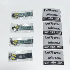 ハイキュー!! MIKASA ラバスト 烏野 伊達 88C T[Ｐ]