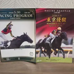 匿名配送】送料込み！ディープインパクト 第66回菊花賞 レーシング
