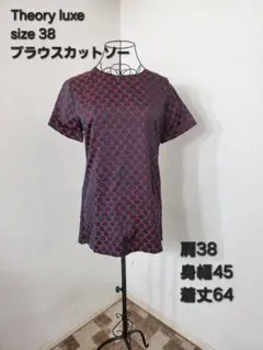 Theory luxe ブラウスカットソー 38のサムネイル