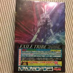 EXILE TRIBE/EXILE TRIBE PERFECT YEAR