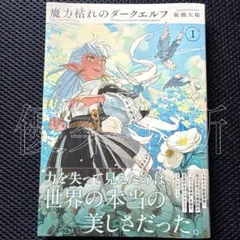 魔力枯れのダークエルフ 丸善 ジュンク堂 特典付き 1巻初版本 第一巻