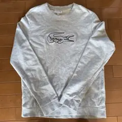 LACOSTE グレー スウェットシャツ US M