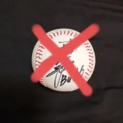 2026年最新】近鉄 サインボールの人気アイテム - メルカリ