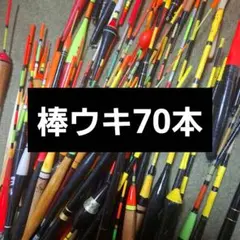 ダイワ ミサキ 50-300V 万能船竿 ライトゲーム - メルカリ