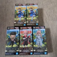 HUNTER×HUNTER ワールドコレクタブルフィギュア vol.2 全5種 - メルカリ