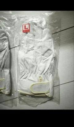 Item thumbnail for item e338eca0-71b5-4cbc-aba3-6666ed39e666