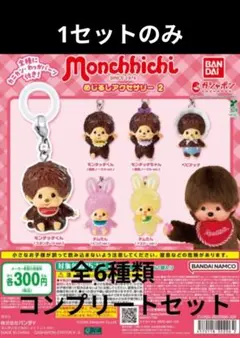 モンチッチ めじるしアクセサリー2　全6種類　コンプリート　コンプ