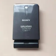 2026年最新】WM-FX1の人気アイテム - メルカリ