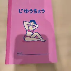 하이타이드 제주초 B6 핑크