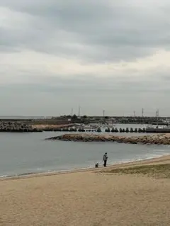 プレ ステ 4 箱のみ